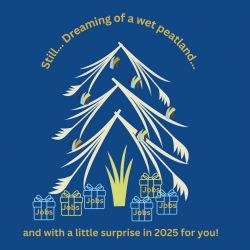 SOM-Card for christmas with schematic illustration of Christmas tree made from reed stems