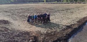 Neu eingesäte fläche für Sonnentaukultivierung (Foto: Paludimed GmbH)