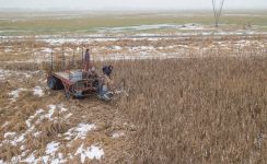 Erste maschinelle Rohrkolbenernte Vorpommerns (foto: lensescape.de)