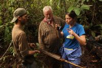 Turf extraction on Borneo (Photo: Tilmann Silber)