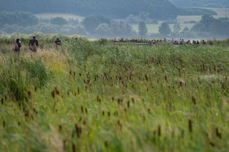 Field day on paludiculture at the pilot site for cattail cultivation (Photo: St. Busse)