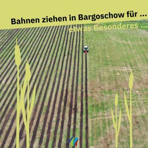Bodenbearbeitung für Schilfpflanzung Polder Bargischow Süd (Foto: Samiel Knobloch)