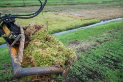 Peat moss harverst (Photo: Tobias Dahms)