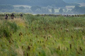 Feldtag Paludikultur auf der Versuchsfläche zum Rohrkolbenanbau (Foto: St. Busse)