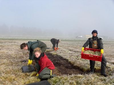 Torfmoosernte für den Biannale-Pavillon (Foto: Christy Gast)