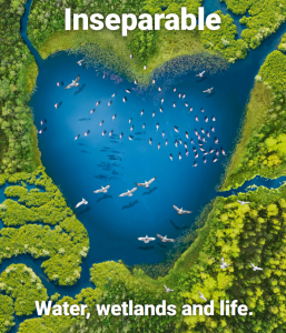 Prof. Joosten speaking at the GLF 2018 (A. Piegenschke)