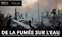 Cover: De la fumée sur l’eau (Global Peatland Initiative)
