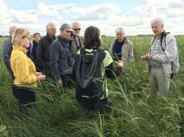Aquatic warbler conservation in Lithuania (Photo: Zymantas Morkvenas)