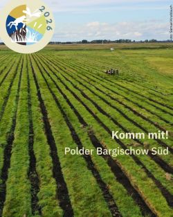 Polder Bargischow viewed from above