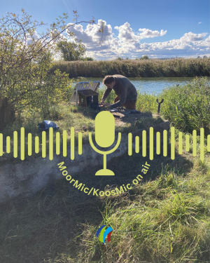 Installing the MOORMic/KoosMic (Foto: N. Körner)