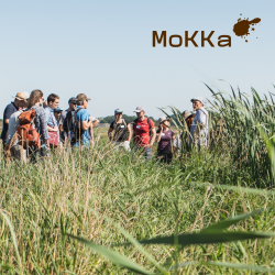 SOM-Card for MoKKa closing conference (Photo: Succow Stiftung)