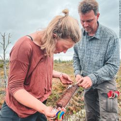 Hanna Rae Martens und Jürgen Kreyling analysieren einen Torfkern (Credit: Tom Andersch)